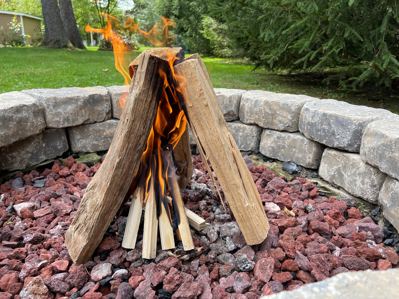 Pine Kindling Wood - Image 4